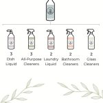 ⁦طقم منظفات Rooted Regimen⁩ - الصورة ⁦13⁩