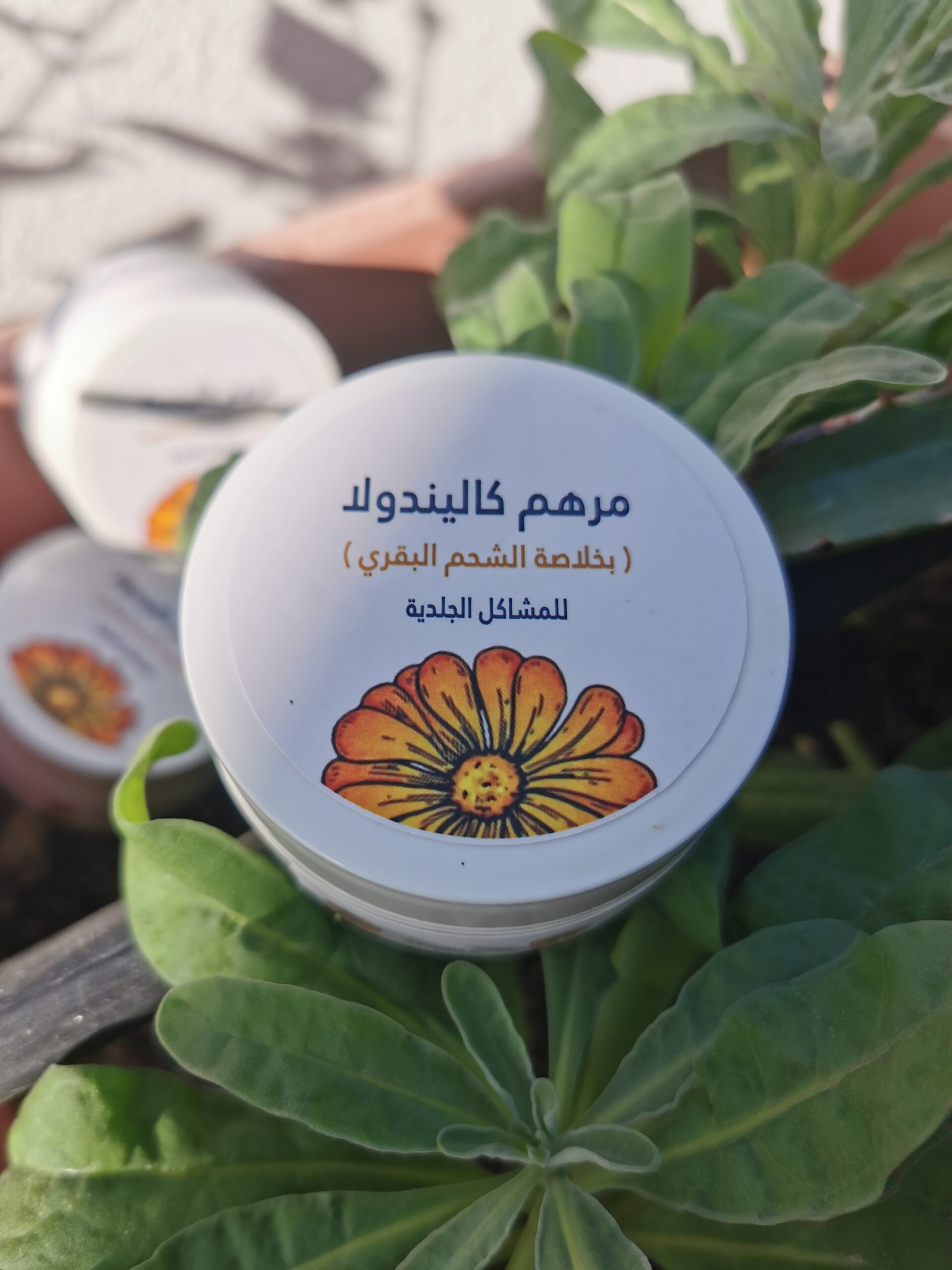 Travel Pharmacy Wheat Grass Calendula Ointment (12g) - Image 2