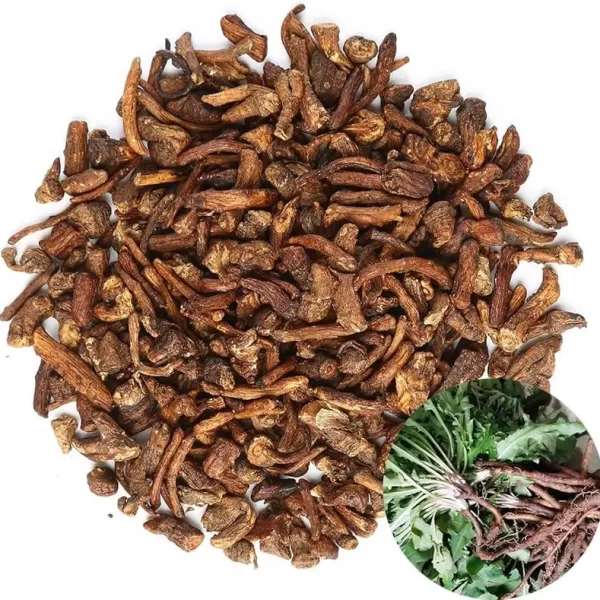 جذور الهندباء البرية المحمصة (100gm) Mustadeem