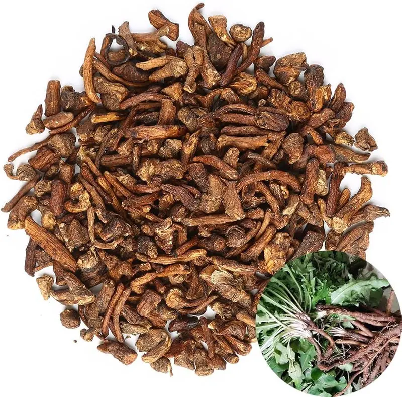جذور الهندباء البرية المحمصة (100gm) Mustadeem